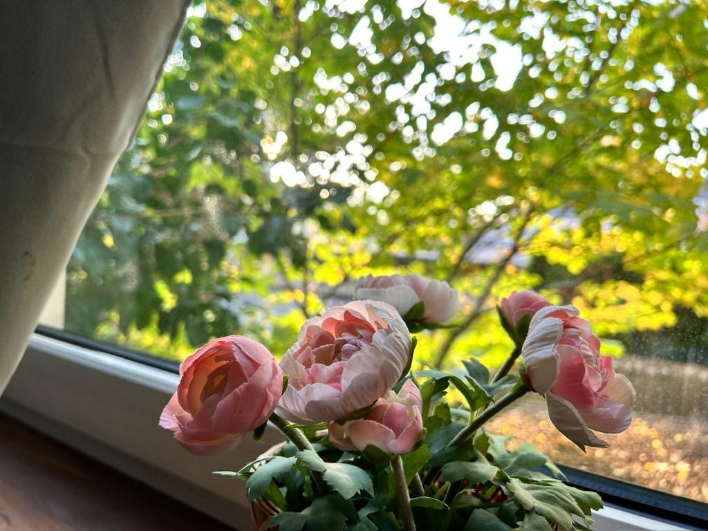 וינה Prime Suites Near Schoenbrunn Castle מראה חיצוני תמונה