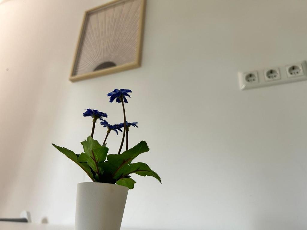 וינה Prime Suites Near Schoenbrunn Castle מראה חיצוני תמונה